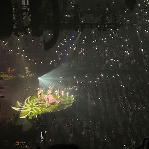 Meet your Posher, Hayden